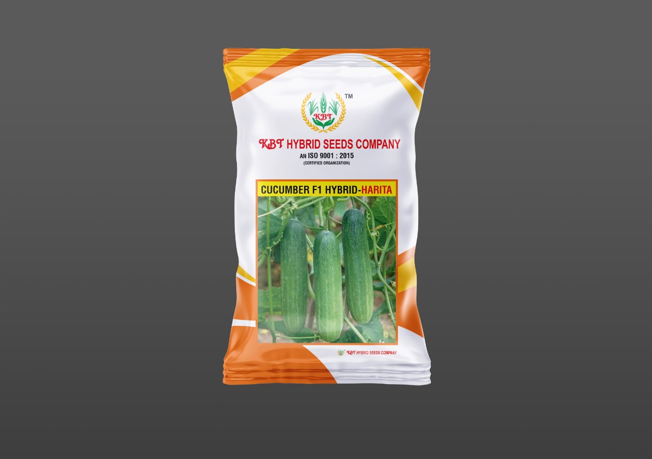 CUCUMBER F1 HYBRID - HARITA 10g